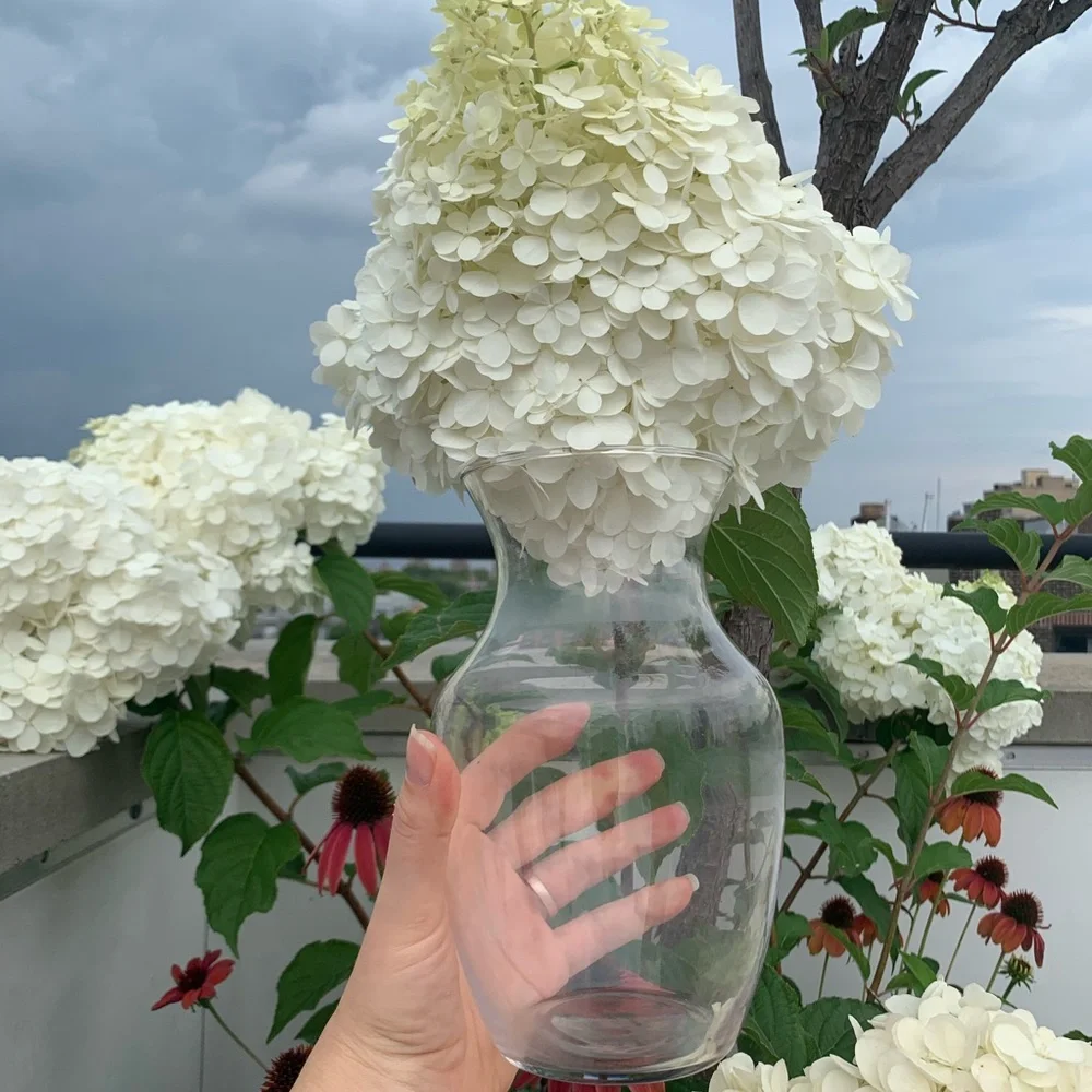 2in1 Glass See Through Floral Vase or Lemonade Water Pitcher